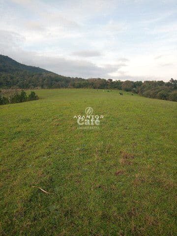 Campo à venda em Caturrita, Santa Maria/RS — foto 2 de 8