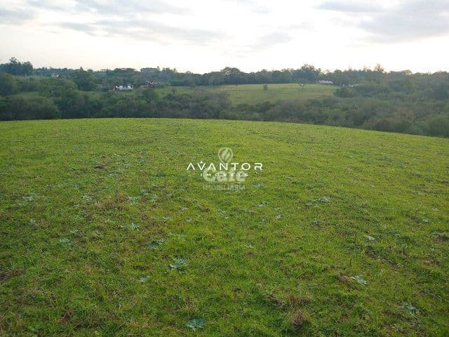 Campo à venda em Caturrita, Santa Maria/RS — foto 3 de 8