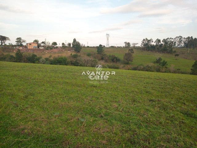 Campo à venda em Caturrita, Santa Maria/RS — foto 5 de 8