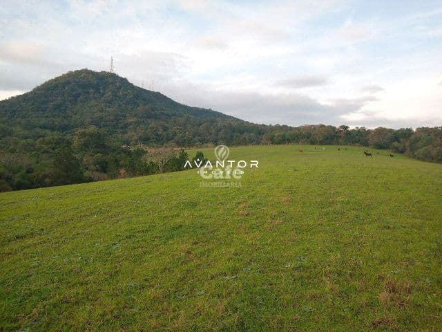 Campo à venda em Caturrita, Santa Maria/RS — foto 6 de 8