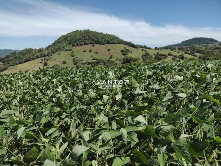Campo à venda em Centro, Quevedos/RS — foto 2 de 9