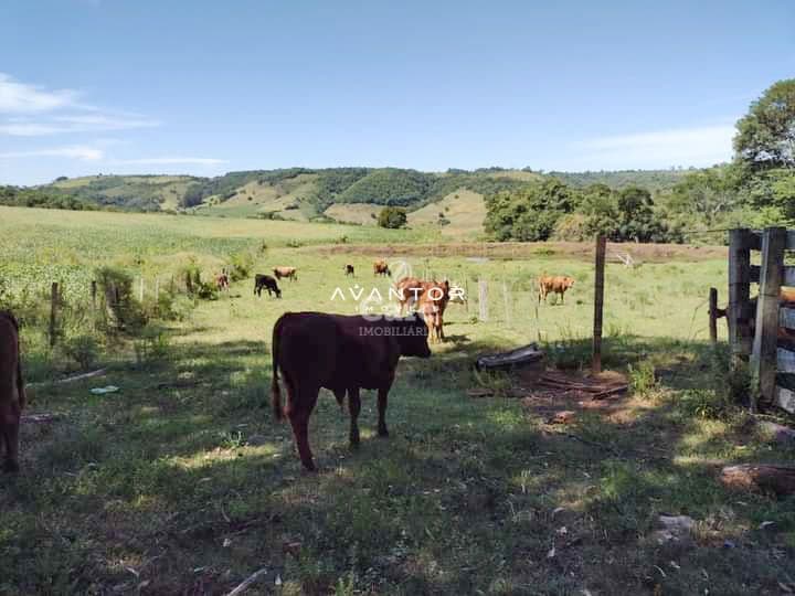 Campo à venda em Centro, Quevedos/RS — foto 3 de 9