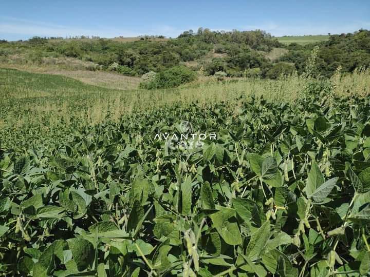 Campo à venda em Centro, Quevedos/RS — foto 5 de 9