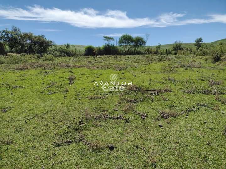 Campo à venda em Centro, Quevedos/RS — foto 7 de 9