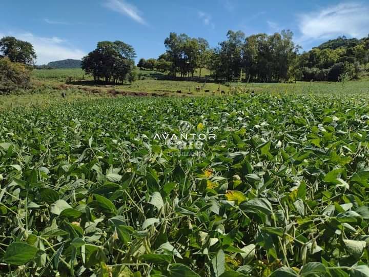 Campo à venda em Centro, Quevedos/RS — foto 9 de 9
