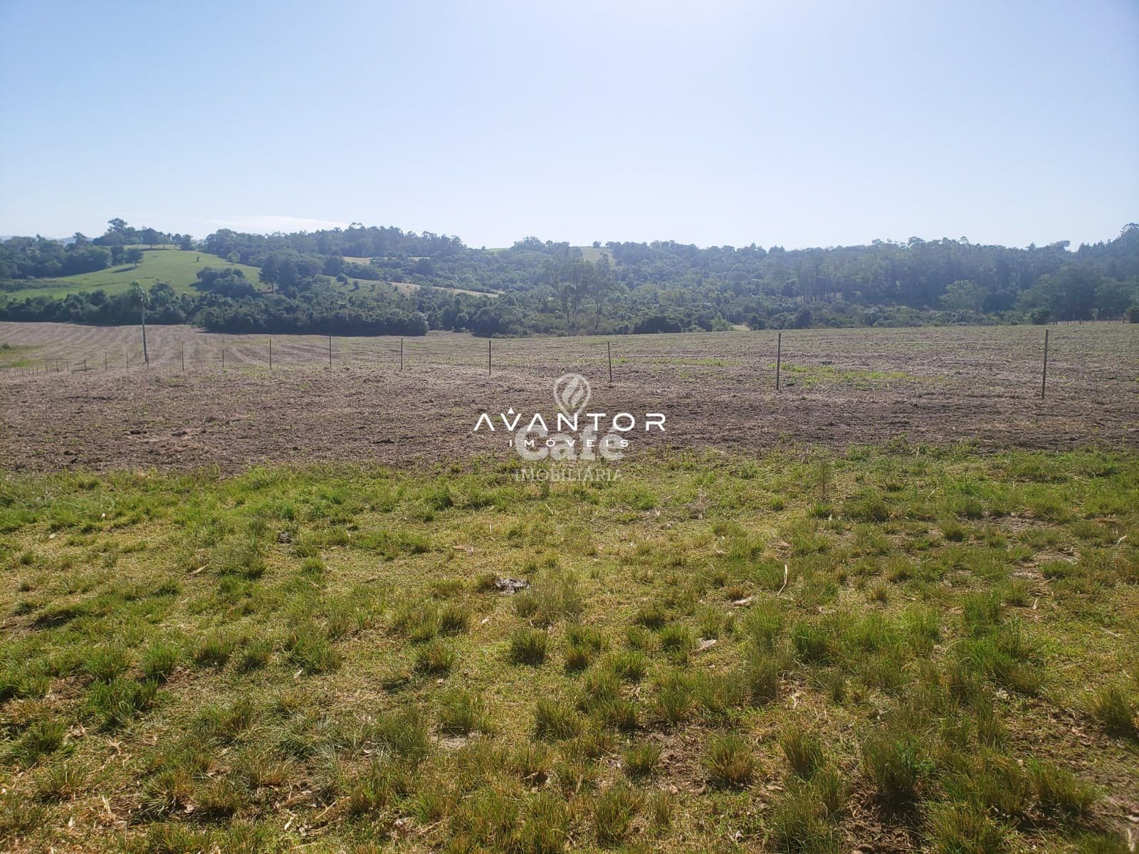 Ótima oportunidade de campo próximo a Santa Maria — Campo à venda em Passo das Tropas, Santa Maria/RS
