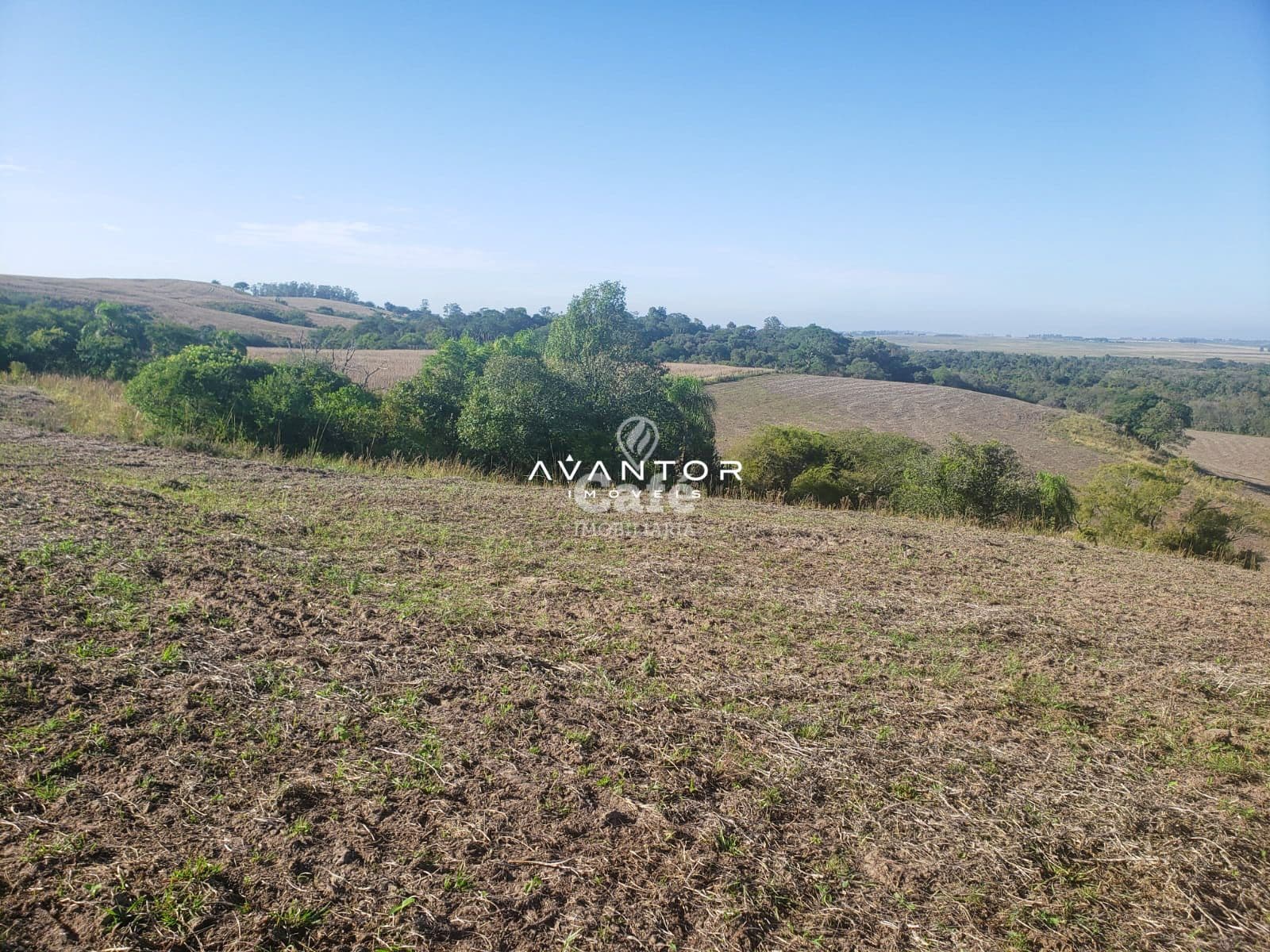 Ótima oportunidade de campo próximo a Santa Maria — Campo à venda em Passo das Tropas, Santa Maria/RS