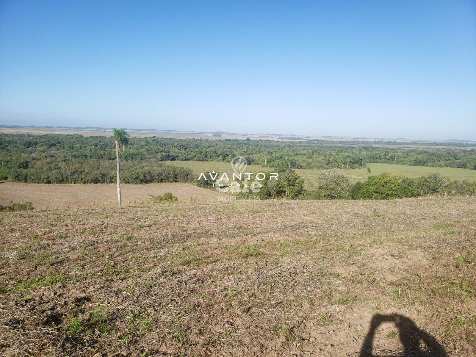 Ótima oportunidade de campo próximo a Santa Maria — Campo à venda em Passo das Tropas, Santa Maria/RS
