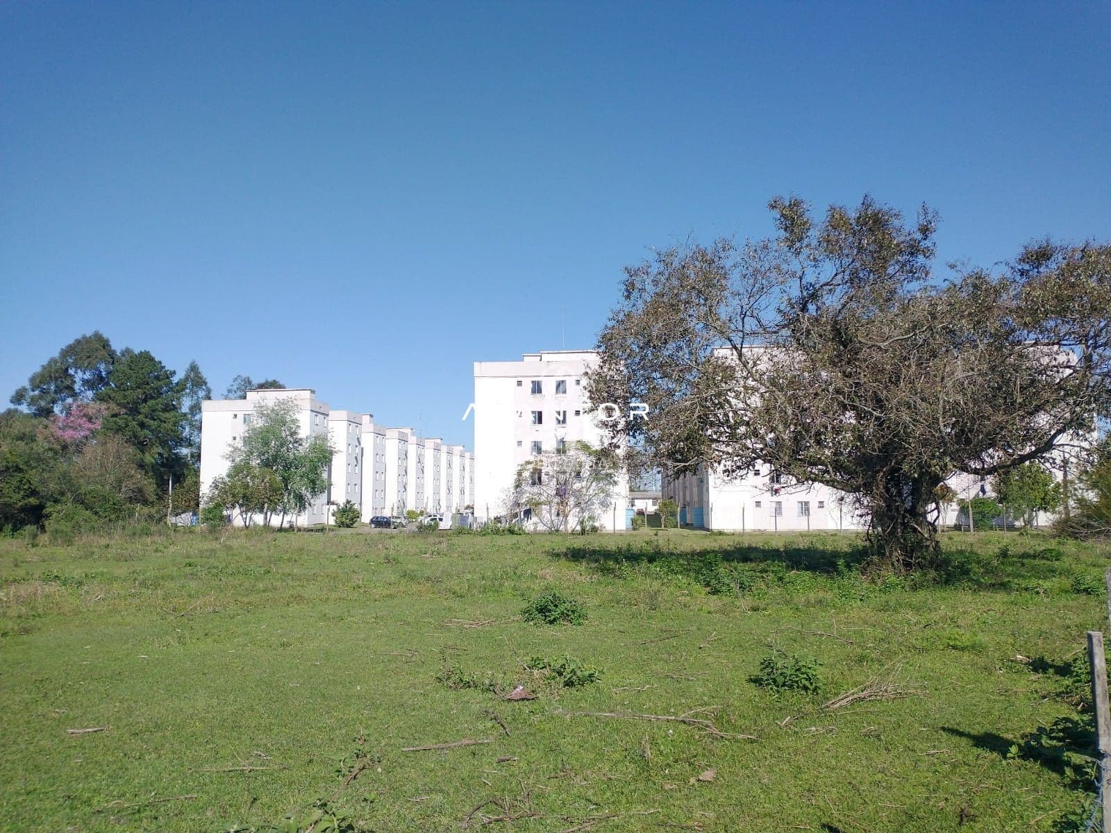 Terreno à venda em Passo D'Areia, Santa Maria/RS — foto 2 de 5