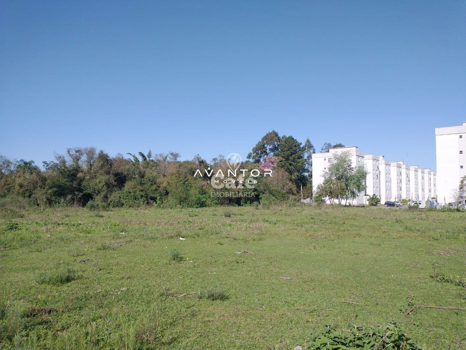 Terreno à venda em Passo D'Areia, Santa Maria/RS — foto 3 de 5