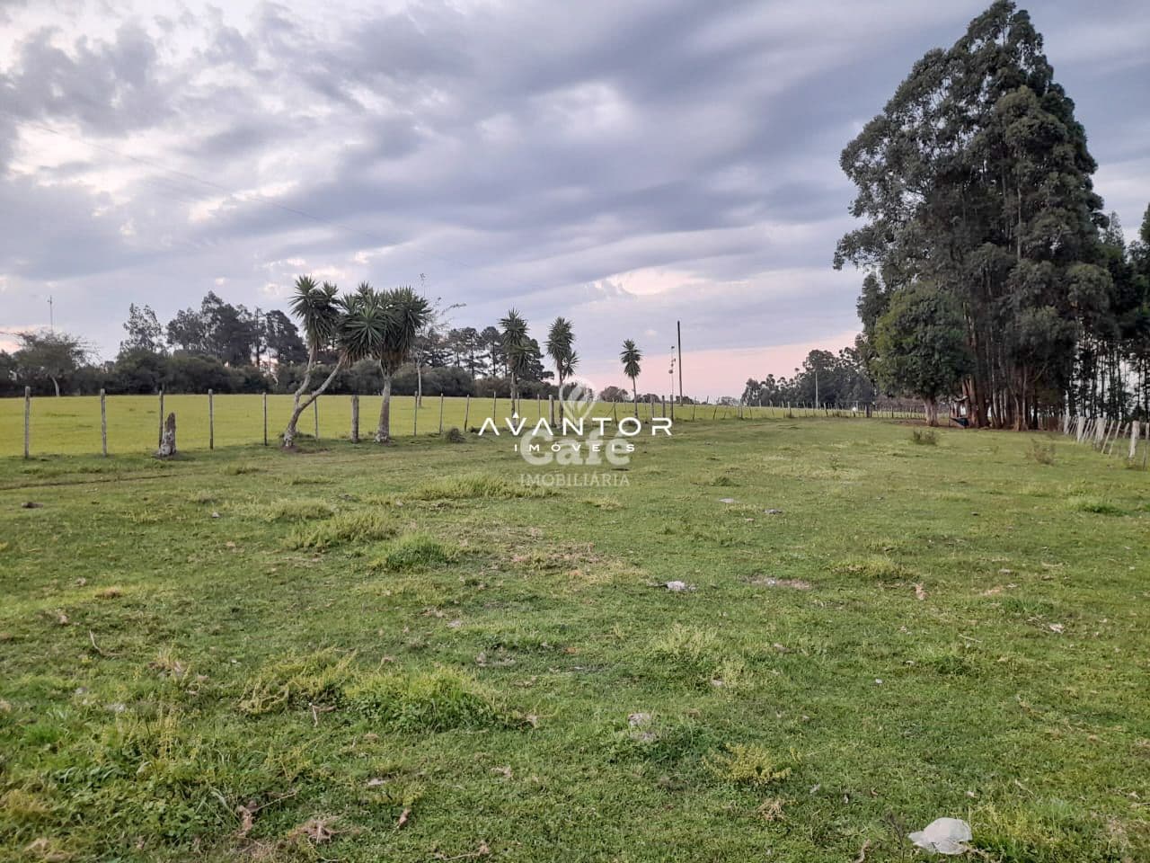 Terreno com árvores e cerca — Chácara com 3 quartos à venda em Zona Rural, São Sepé/RS