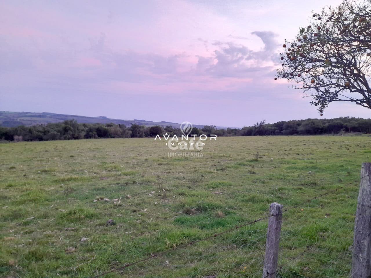 Chácara com 3 quartos à venda em Zona Rural, São Sepé/RS — foto 2 de 9