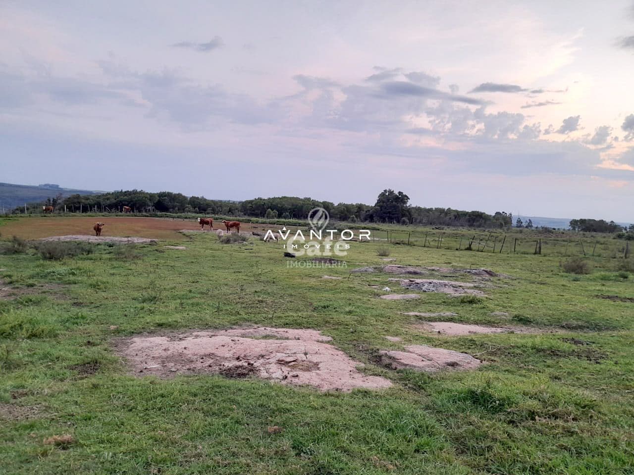 Chácara com 3 quartos à venda em Zona Rural, São Sepé/RS — foto 4 de 9