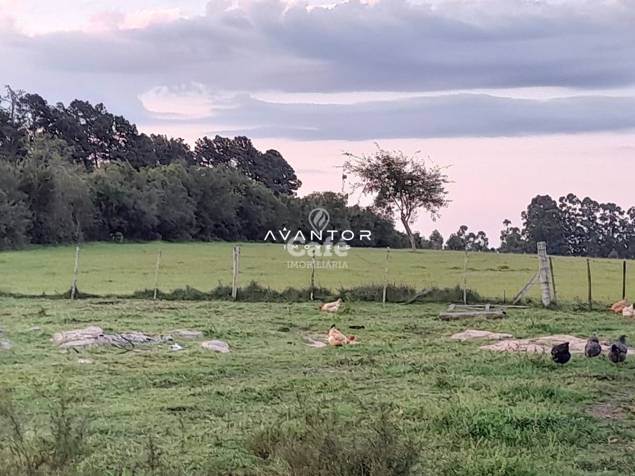 Chácara com 3 quartos à venda em Zona Rural, São Sepé/RS — foto 7 de 9