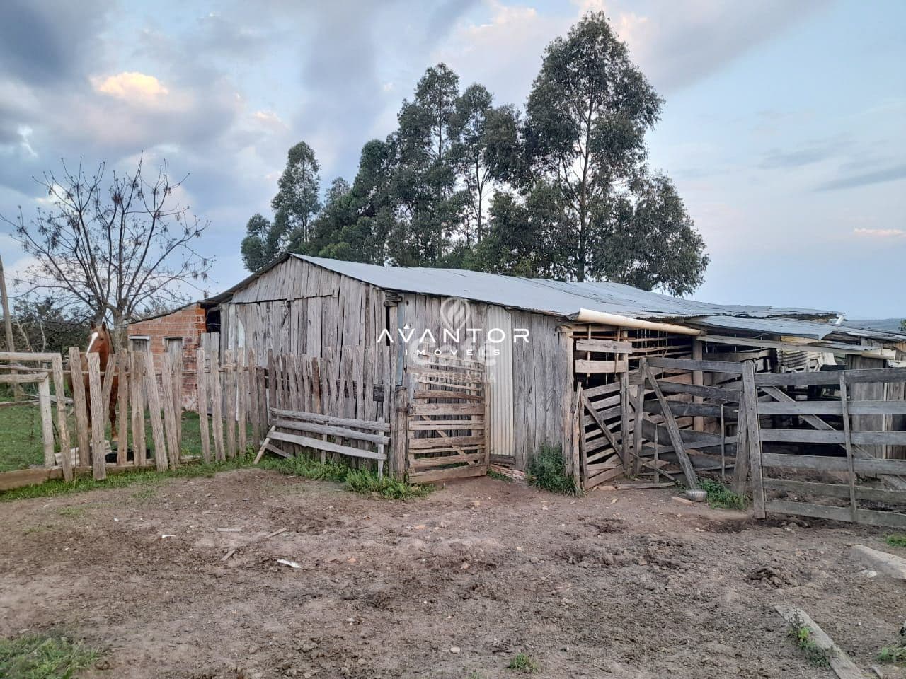 Chácara com 3 quartos à venda em Zona Rural, São Sepé/RS — foto 8 de 9