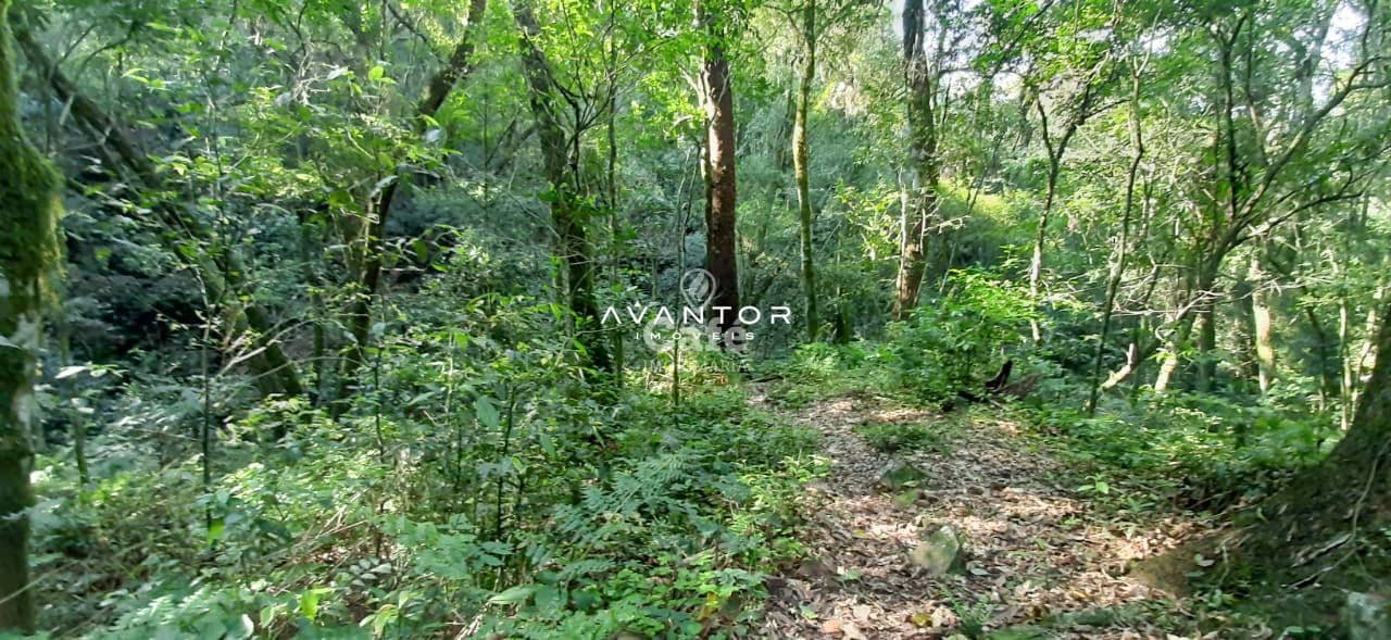 Terreno à venda em Itaara, Itaara/RS — foto 2 de 4