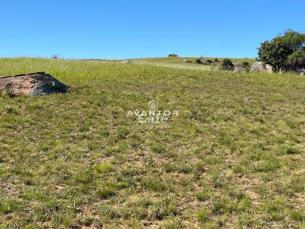 Campo à venda em Interior, São Sepé/RS — foto 3 de 12