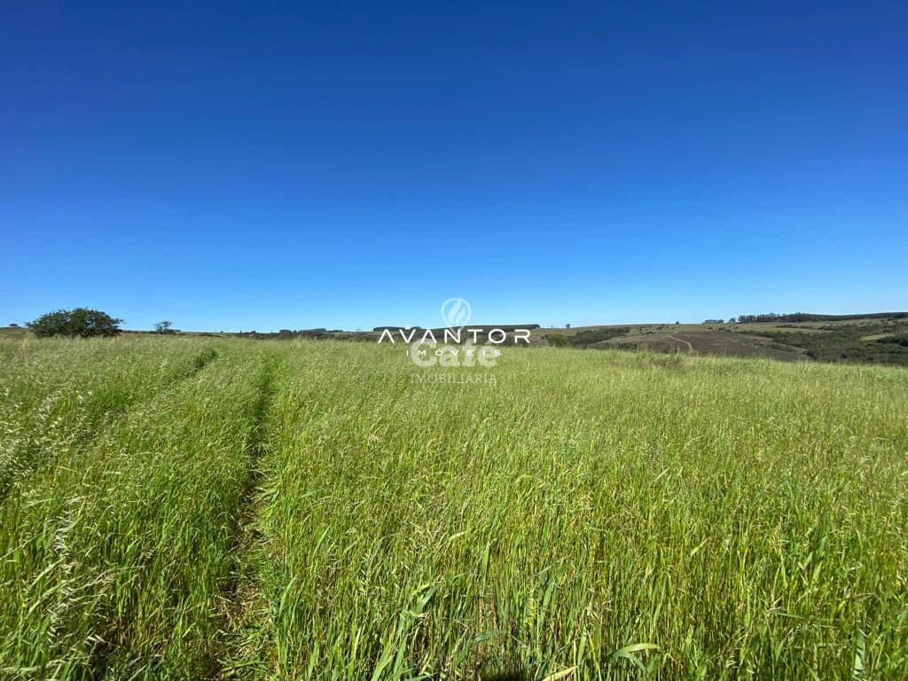 Campo à venda em Interior, São Sepé/RS — foto 4 de 12