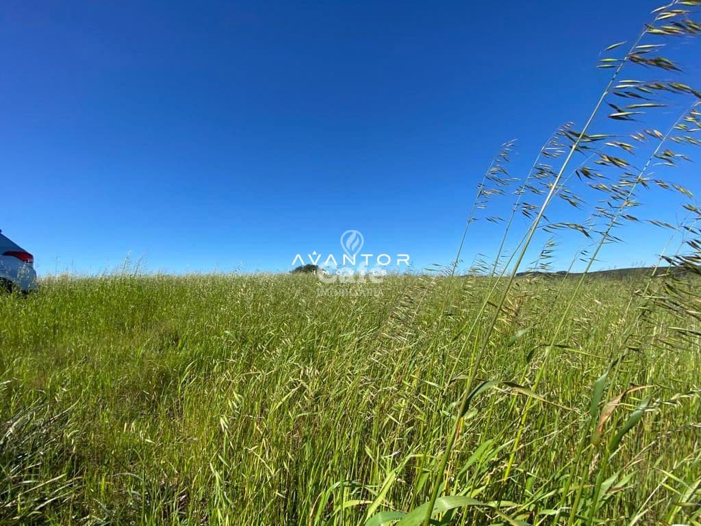 Campo à venda em Interior, São Sepé/RS — foto 6 de 12