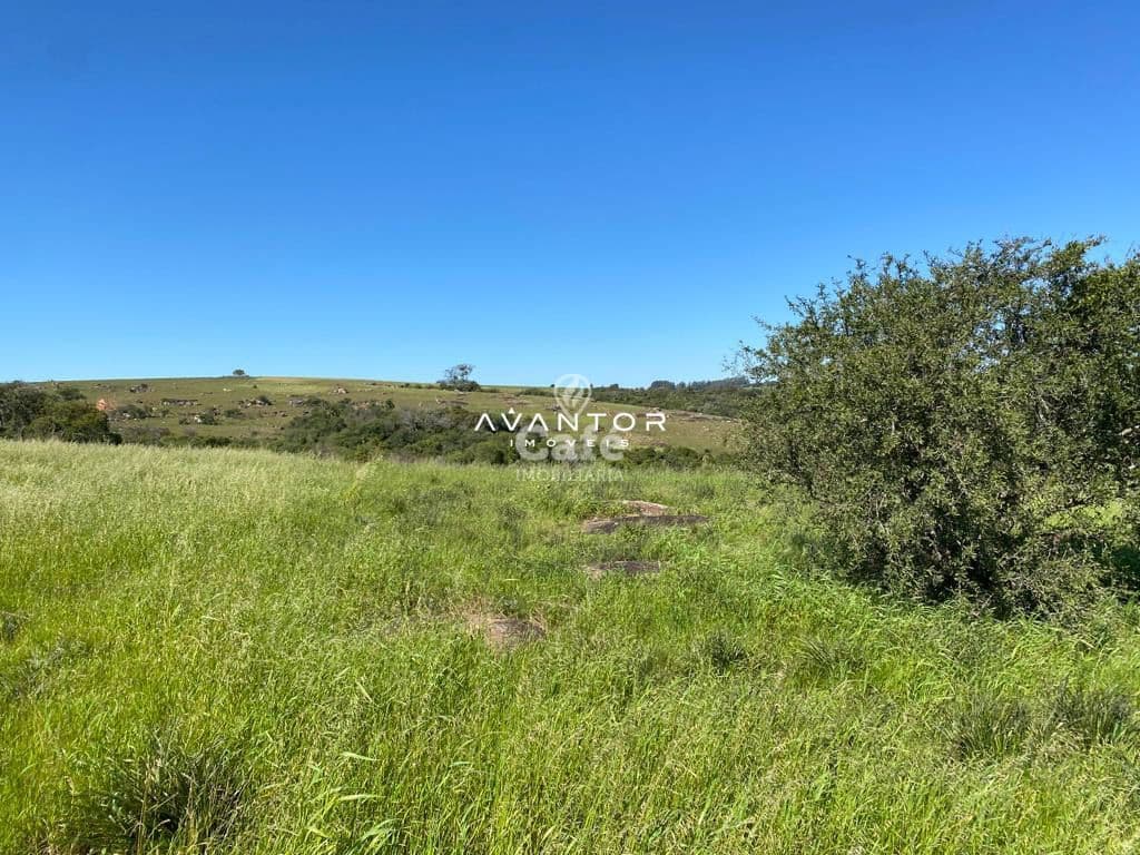 Campo à venda em Interior, São Sepé/RS — foto 8 de 12