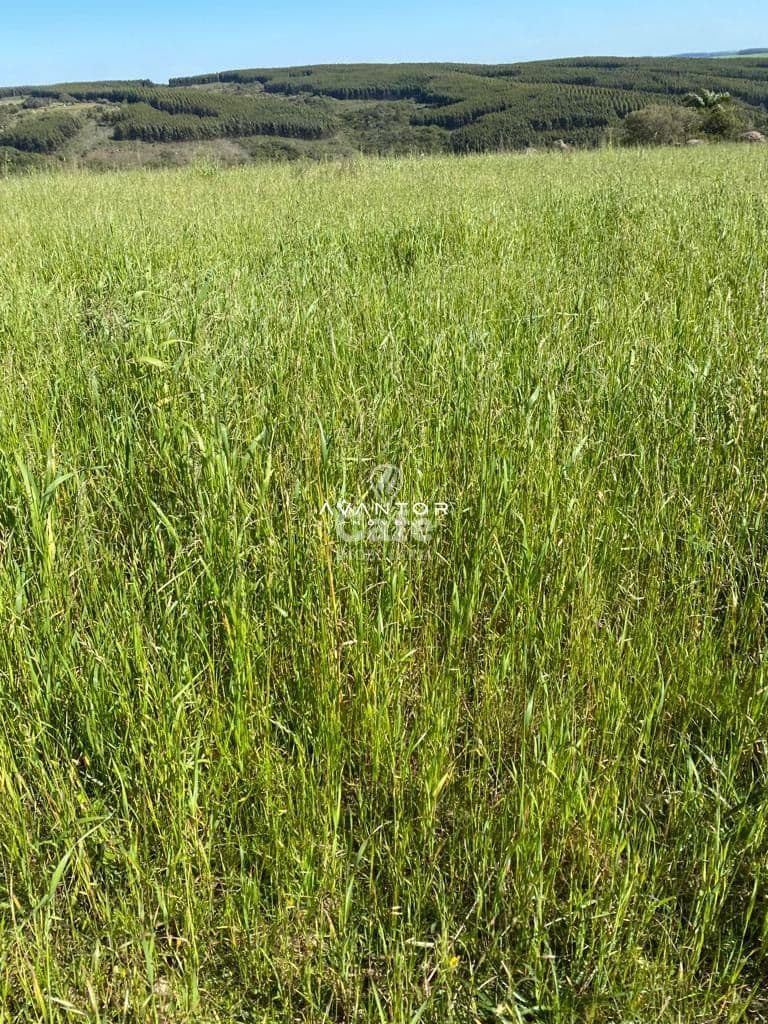 Campo à venda em Interior, São Sepé/RS — foto 10 de 12