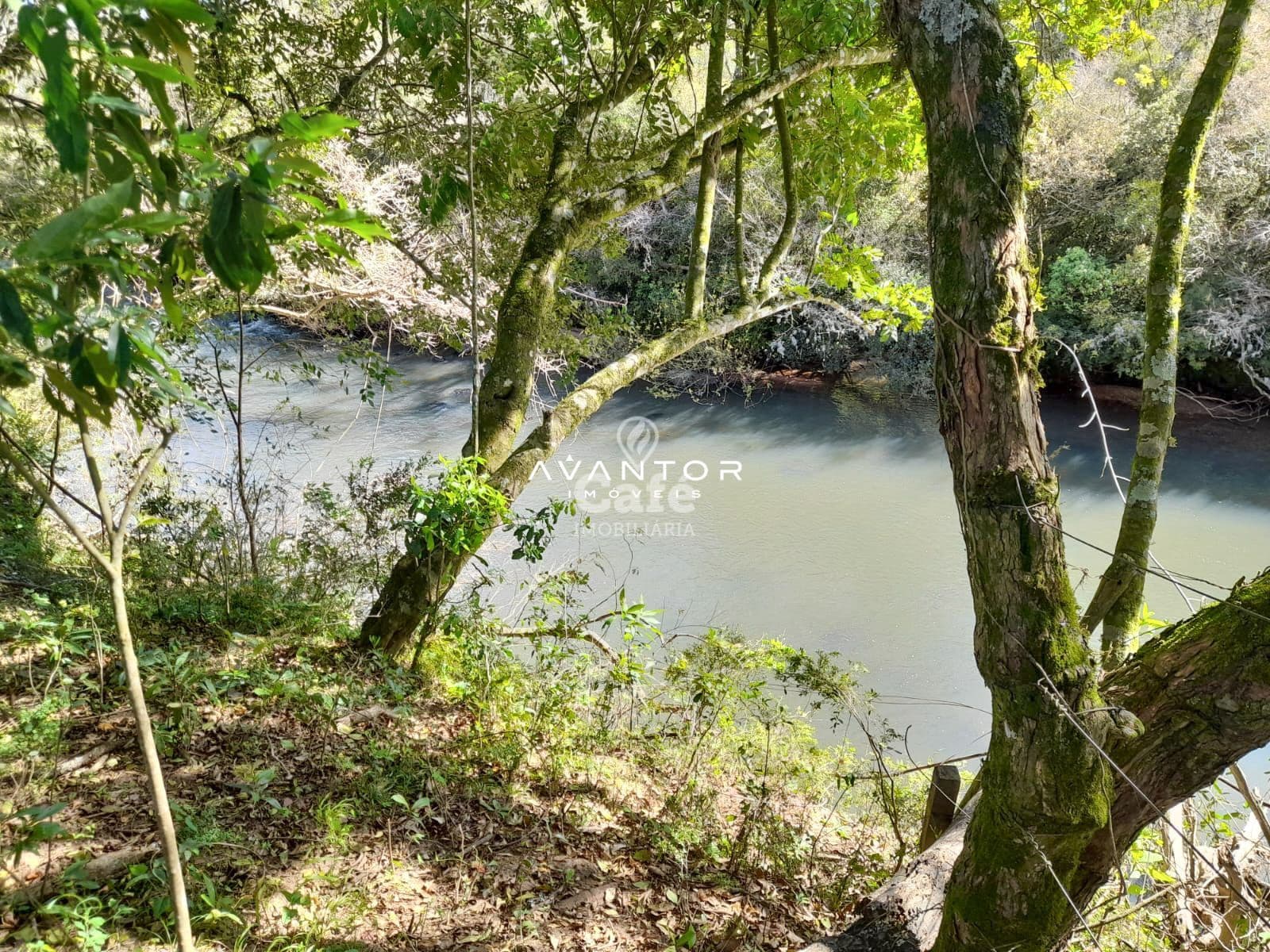 Chácara interior de São Sepé — Chácara com 2 quartos à venda em Zona Rural, São Sepé/RS