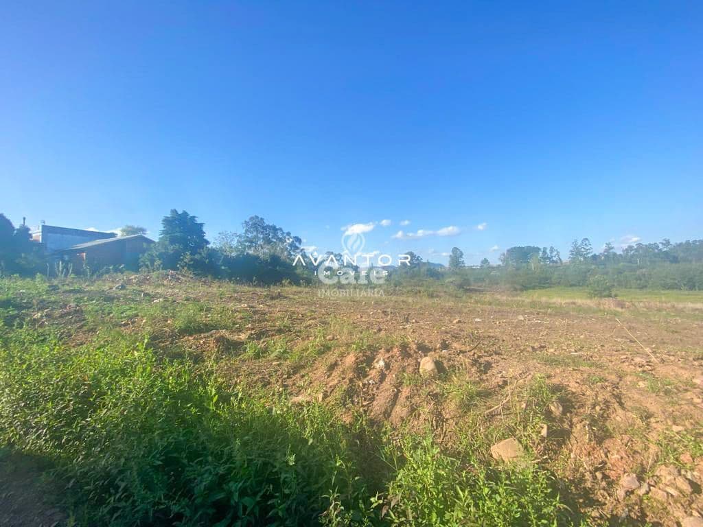 Terreno com vegetação e vista para construção — Terreno à venda em Diácono João Luiz Pozzobon, Santa Maria/RS
