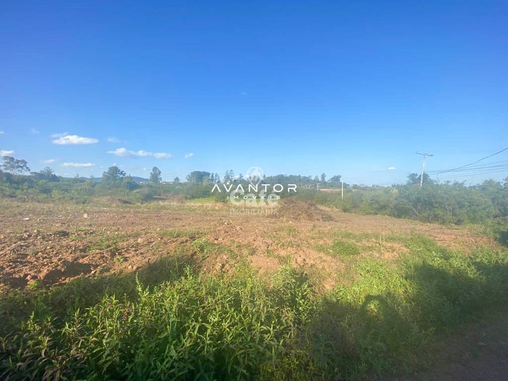 Terreno à venda em Diácono João Luiz Pozzobon, Santa Maria/RS — foto 4 de 5