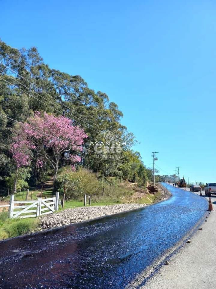 Campo à venda em Zona rural, São Martinho da Serra/RS — foto 4 de 7