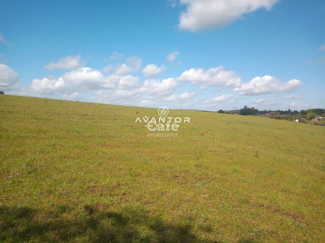 Terreno Amplo De 20000 m² — Terreno à venda em Caturrita, Santa Maria/RS