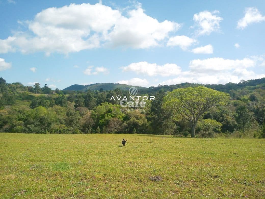 Terreno Amplo De 20000 m² — Terreno à venda em Caturrita, Santa Maria/RS