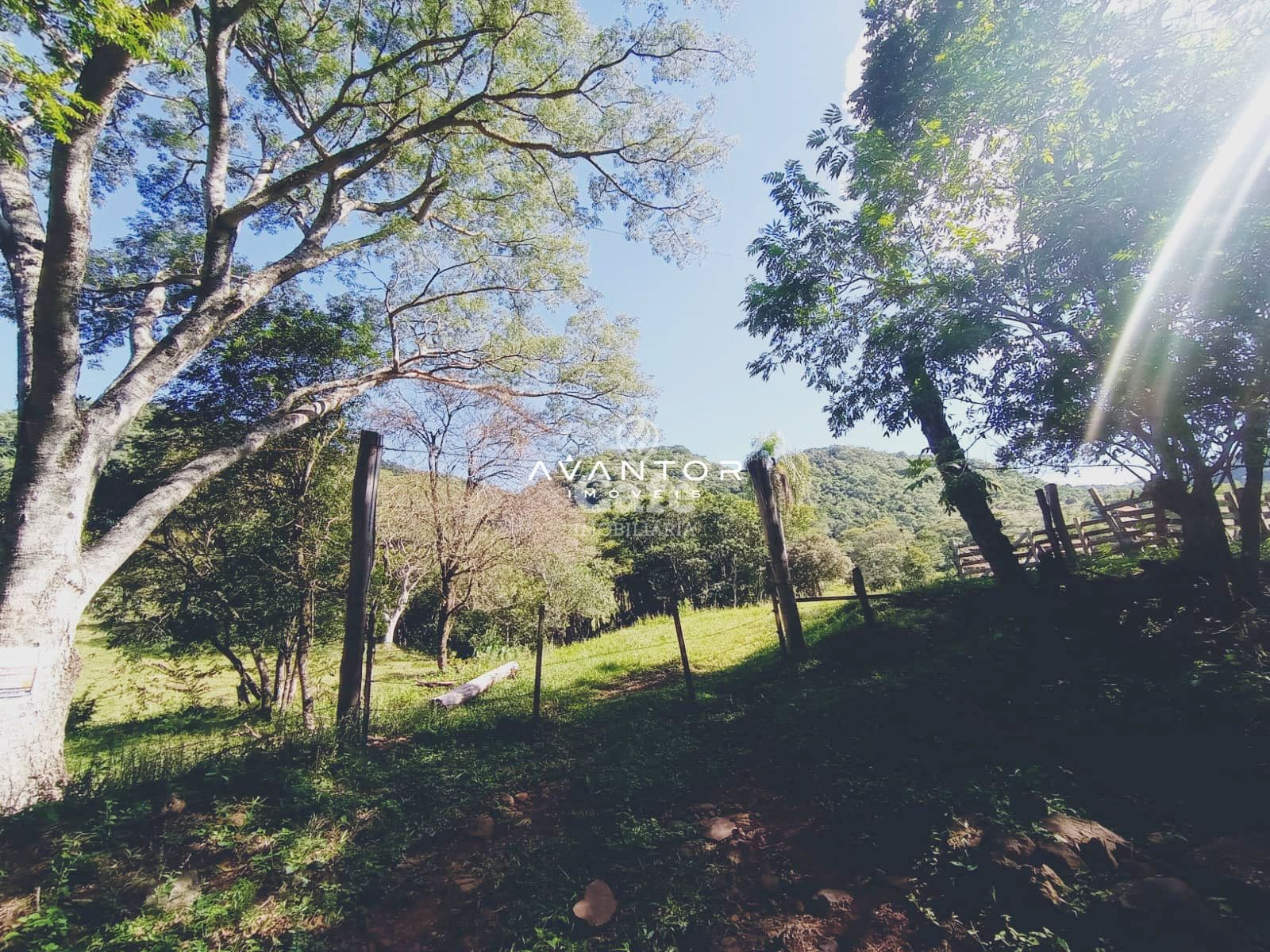 Chácara à venda em Zona Rural, Arroio Grande/RS — foto 2 de 2