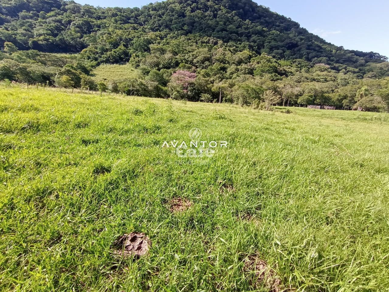 Chácara à venda em Zona Rural, Arroio Grande/RS — foto 2 de 3