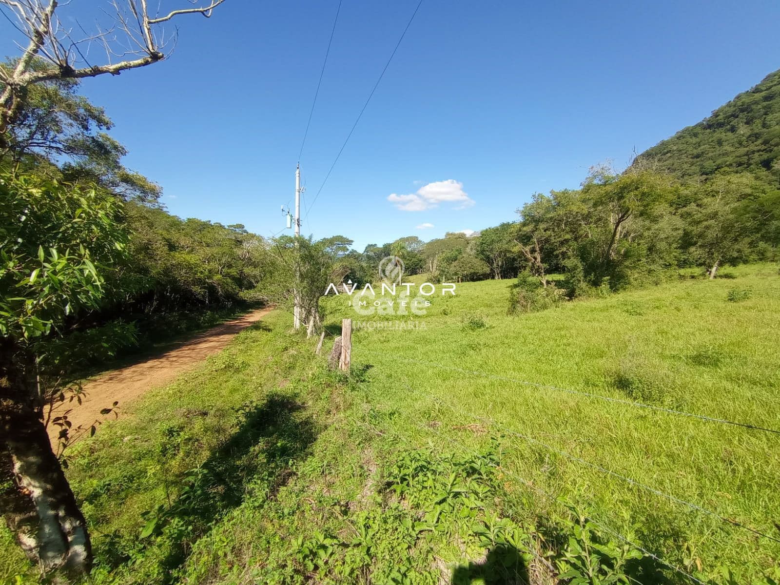 Terreno com vegetação e mata nativa — Chácara à venda em Zona Rural, Arroio Grande/RS