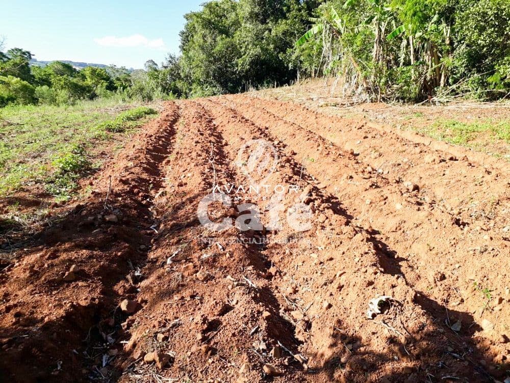 Chácara com 3 quartos à venda em Zona rural, Agudo/RS — foto 12 de 24