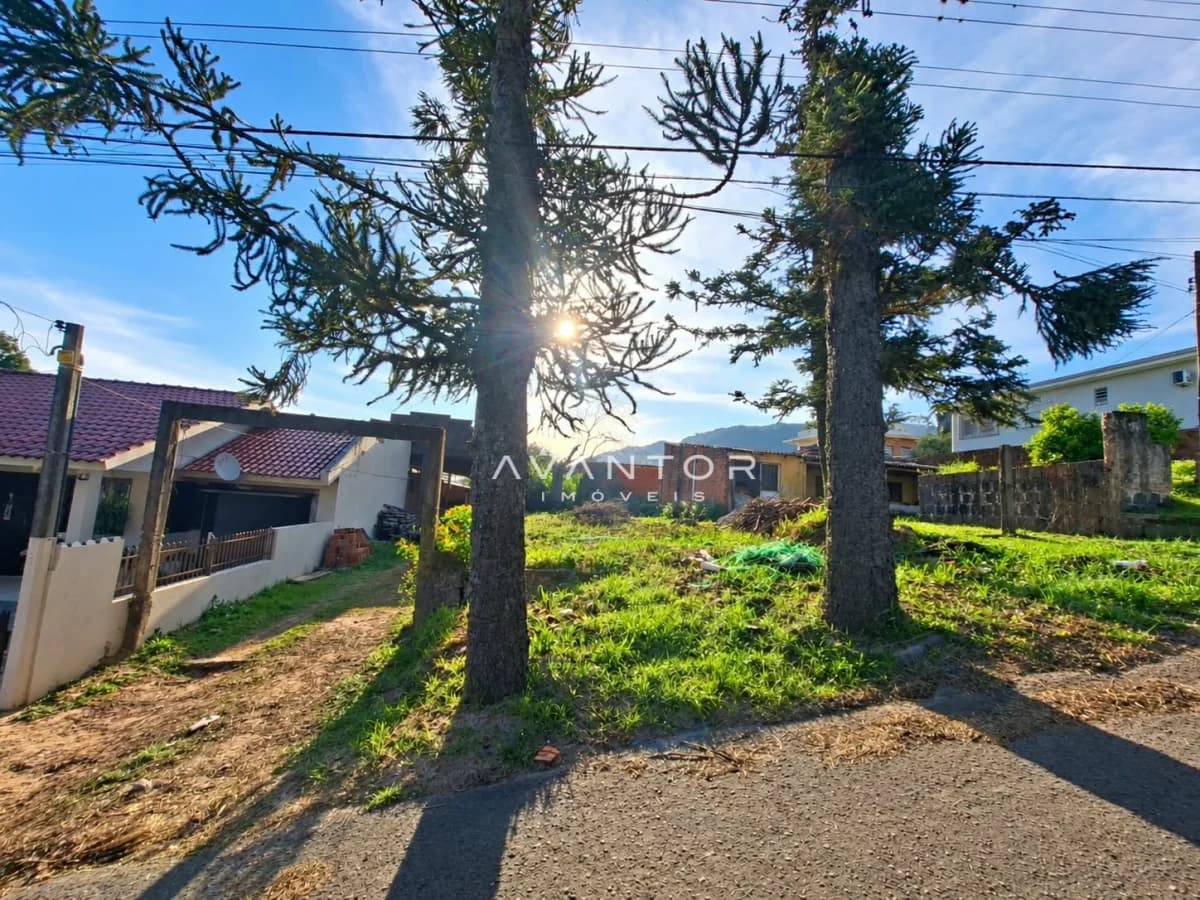 Terreno com árvores e casa ao fundo — Terreno à venda em Nossa Senhora do Perpétuo Socorro, Santa Maria/RS