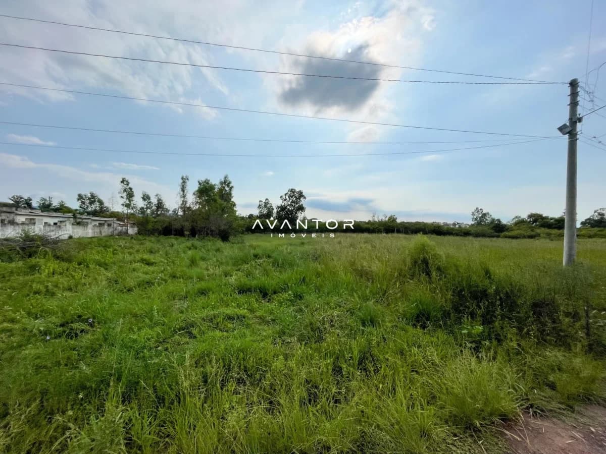 Terreno com vegetação e infraestrutura — Terreno à venda em Diácono João Luiz Pozzobon, Santa Maria/RS