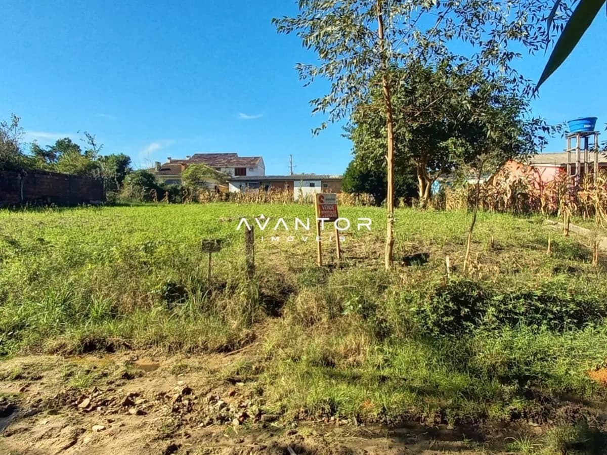 Terreno com plantações e construções ao fundo — Terreno à venda em Boi Morto, Santa Maria/RS