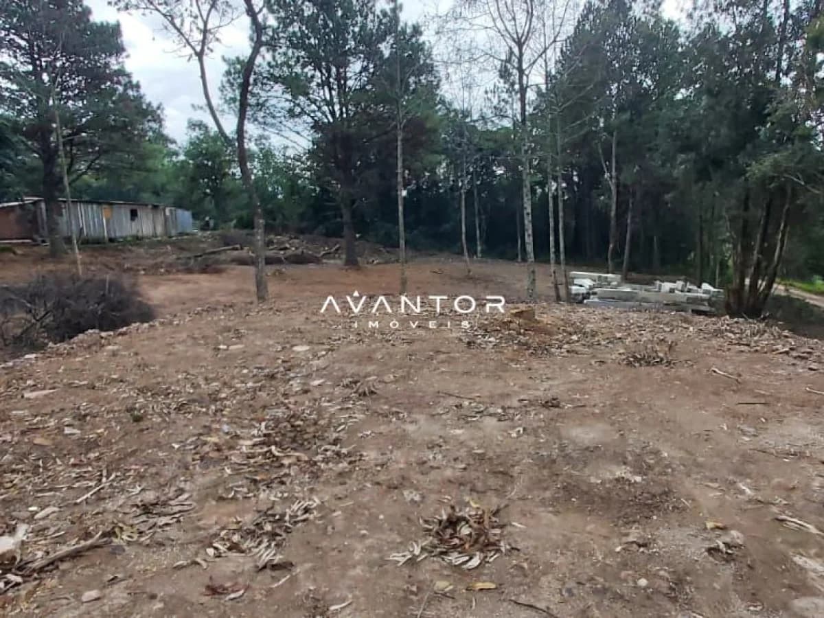 Terreno com árvores e estrutura — Terreno à venda em Parque Serrano I, Itaara/RS