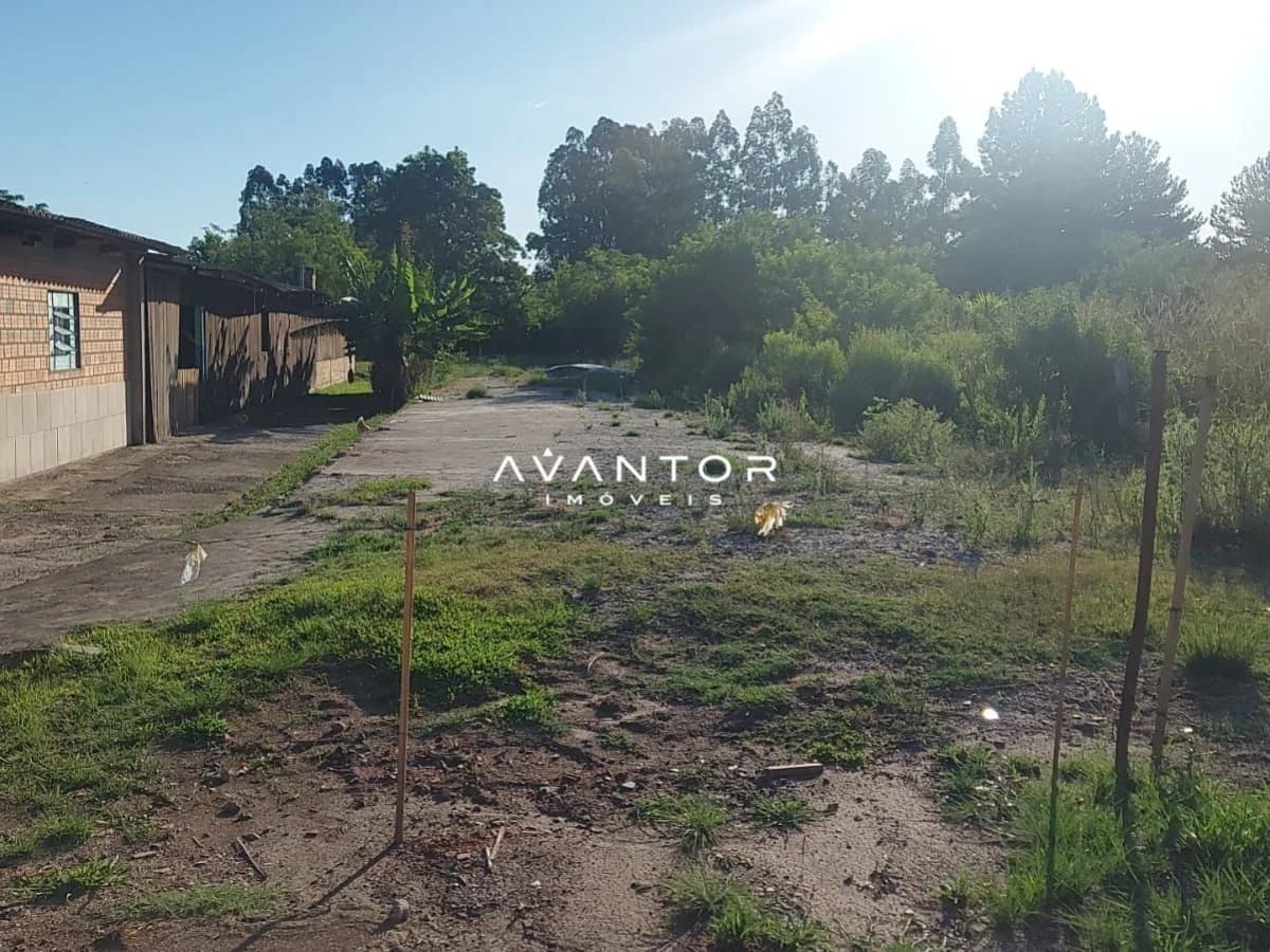 Terreno com construção e vegetação — Terreno à venda em Jardim Berleze, Santa Maria/RS