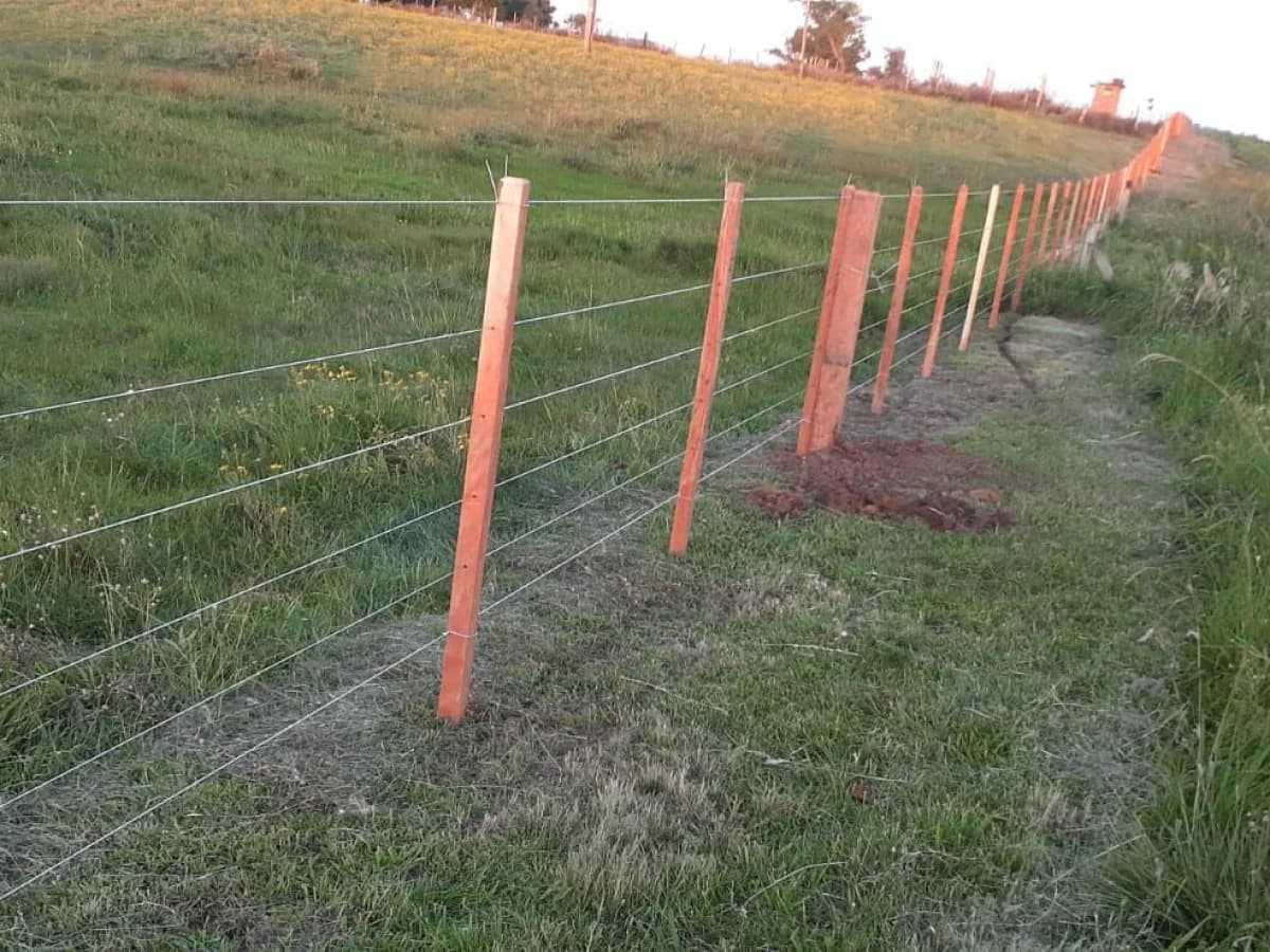 Terreno com cerca de madeira — Chácara com 1 quarto à venda em Interior, Dilermando de Aguiar/RS