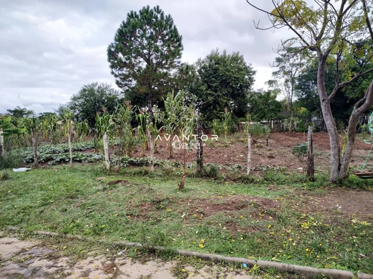 Excelente terreno plano 12x30m pronto para construir no bairro Pinheiro Machado - Santa Ma — Terreno à venda em São João, Santa Maria/RS