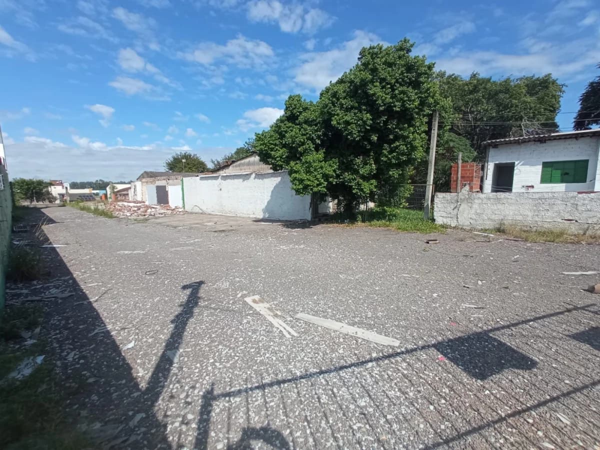 Terreno Comercial De 600 m² Na BR 287 — Terreno para alugar em Pinheiro Machado, Santa Maria/RS