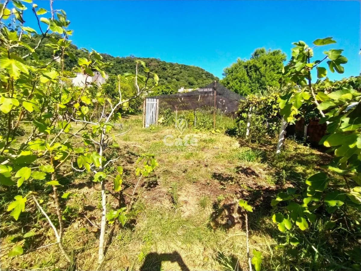 Terreno com plantações e construção — Terreno à venda em Nossa Senhora do Perpétuo Socorro, Santa Maria/RS