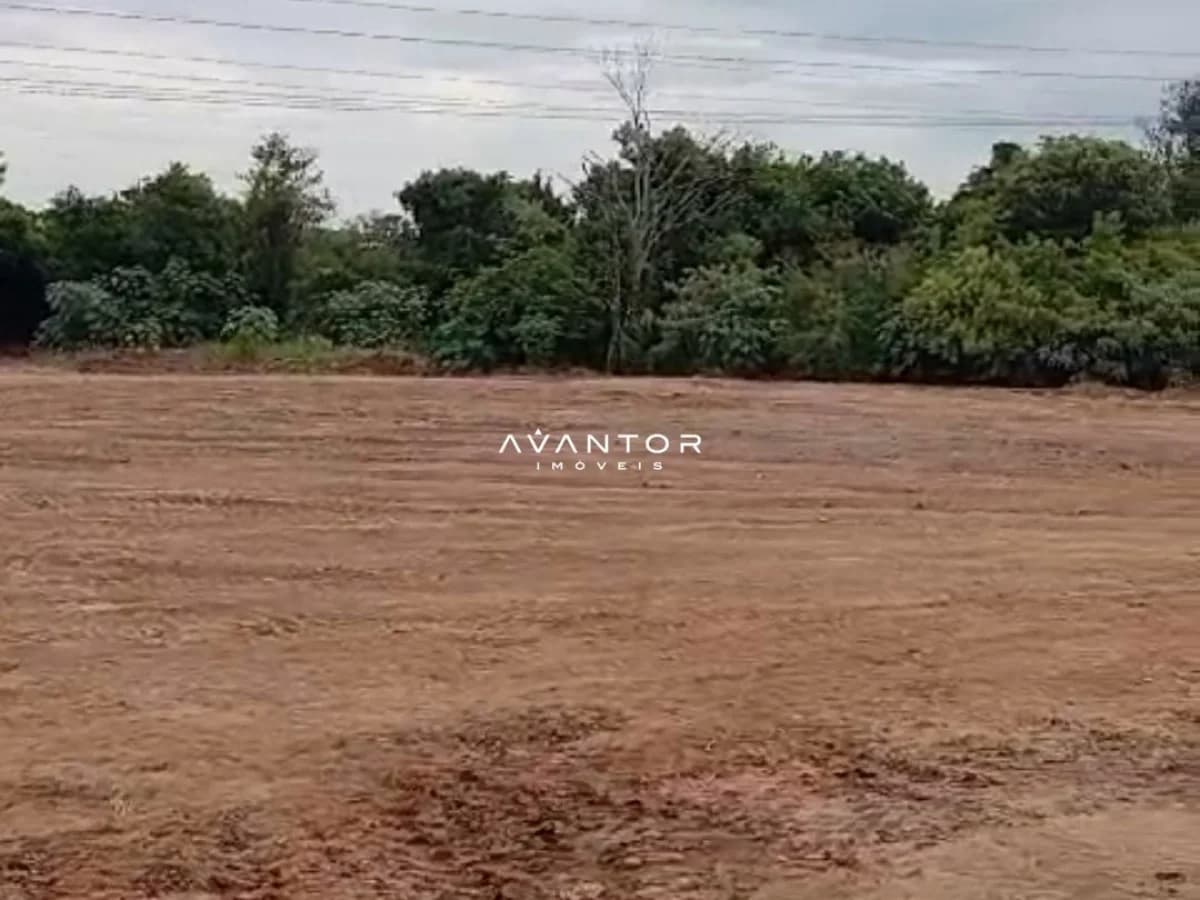 Terreno com vegetação ao fundo — Terreno à venda em Renascença, Santa Maria/RS