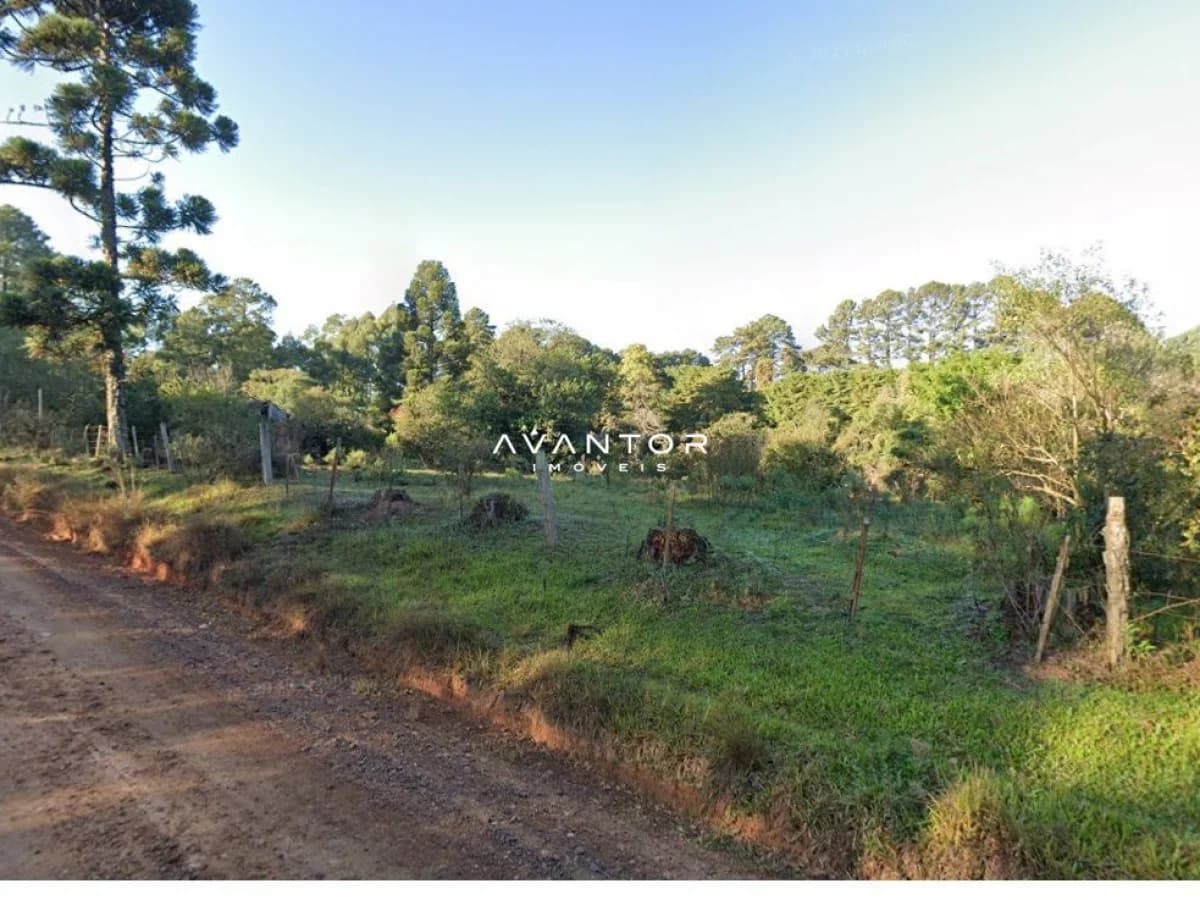 Terreno com vegetação e cerca de arame — Terreno à venda em Etelvina, Itaara/RS