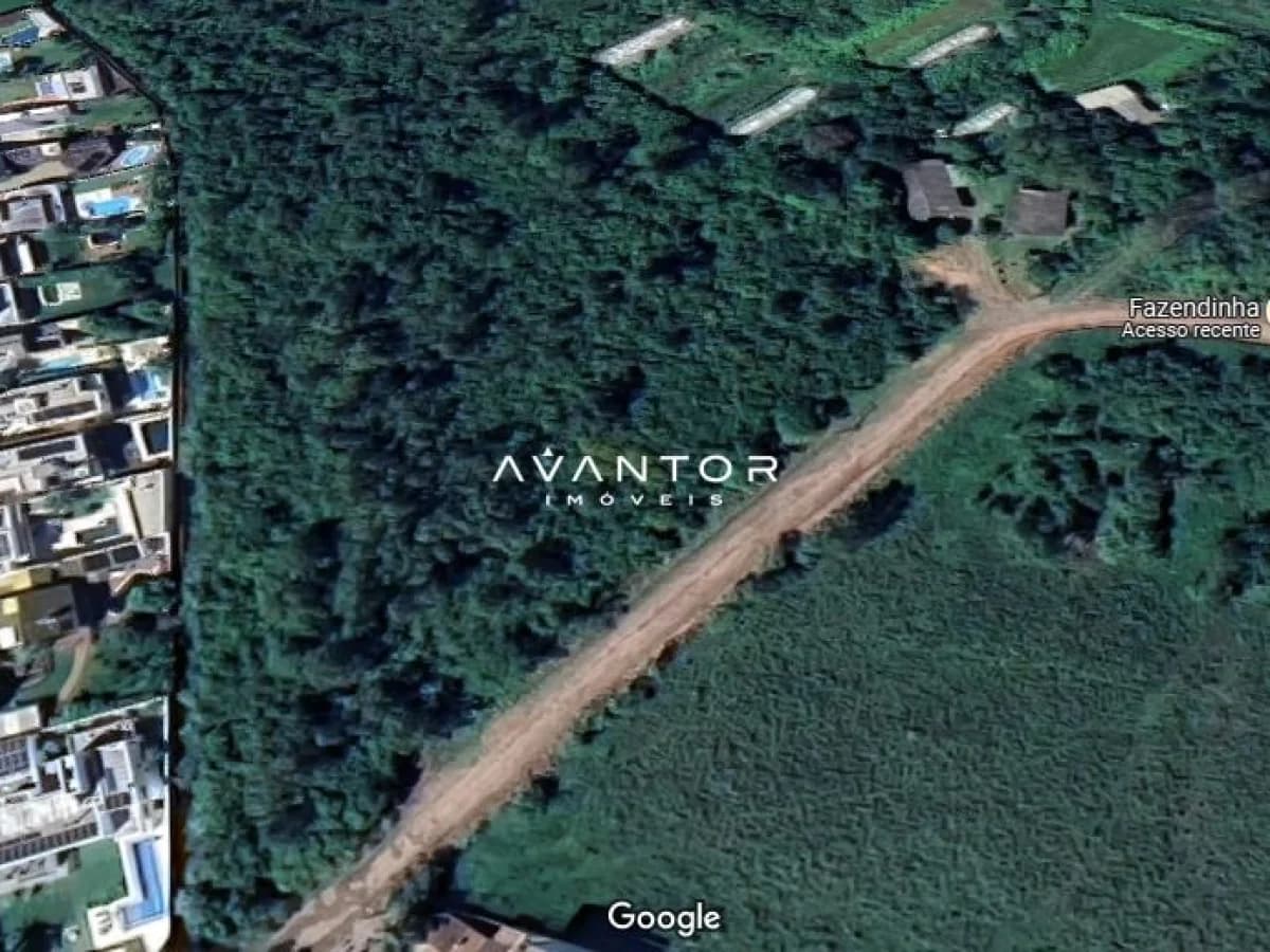 Terreno com acesso recente e vegetação densa — Terreno à venda em São José, Santa Maria/RS