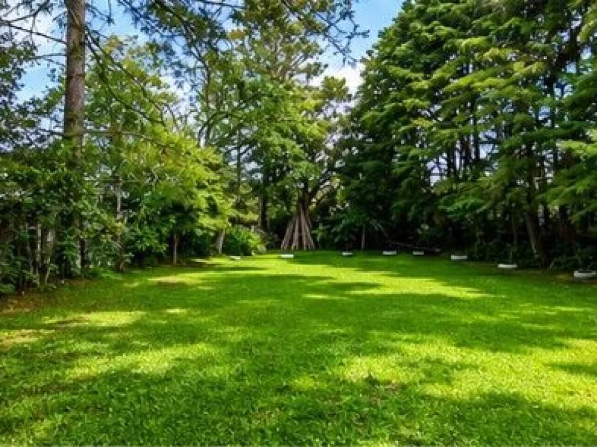 Terreno com árvores e gramado — Chácara com 3 quartos à venda em Km 3, Santa Maria/RS