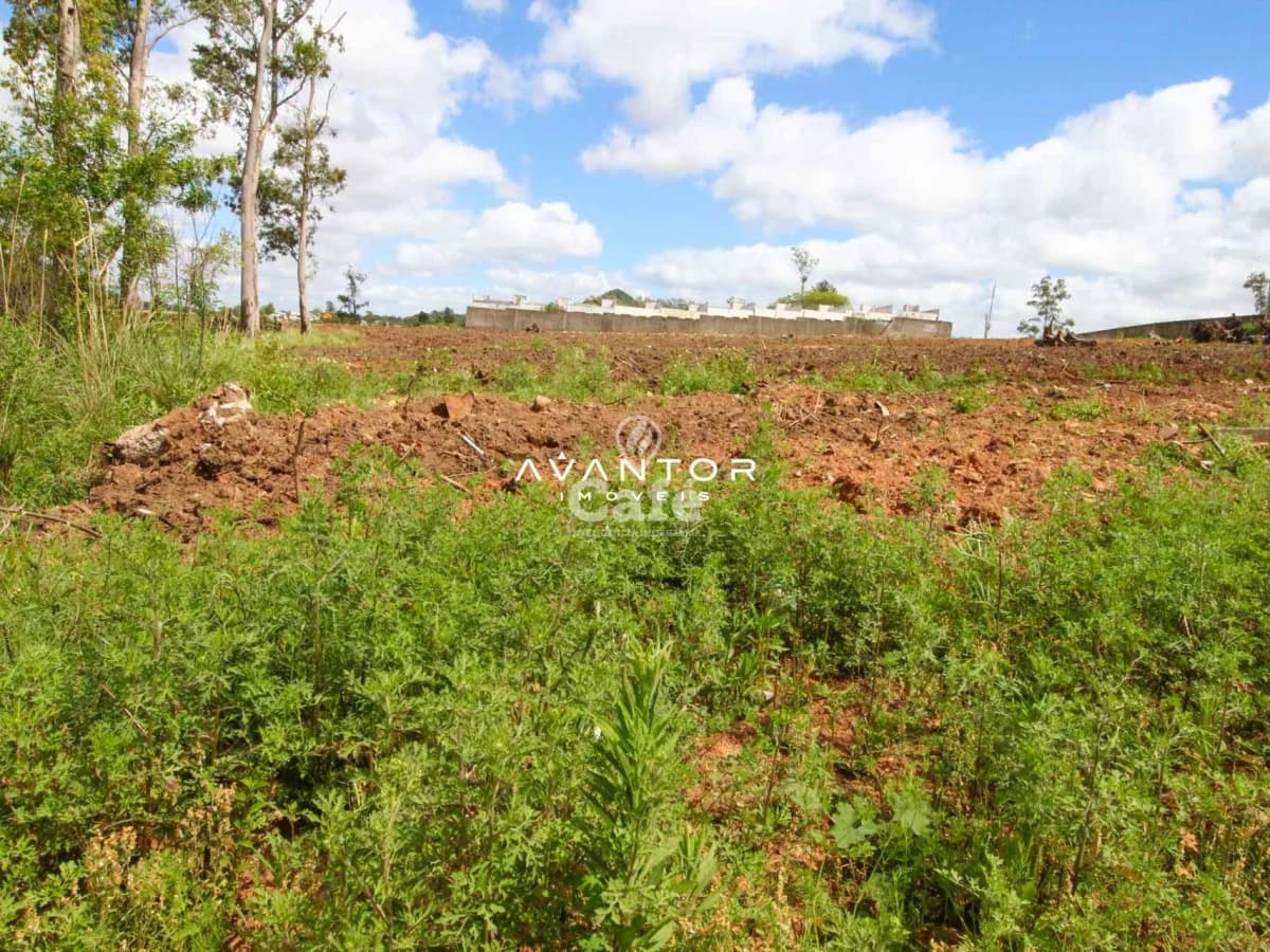 Terreno com vegetação e árvores — Terreno à venda em Diácono João Luiz Pozzobon, Santa Maria/RS