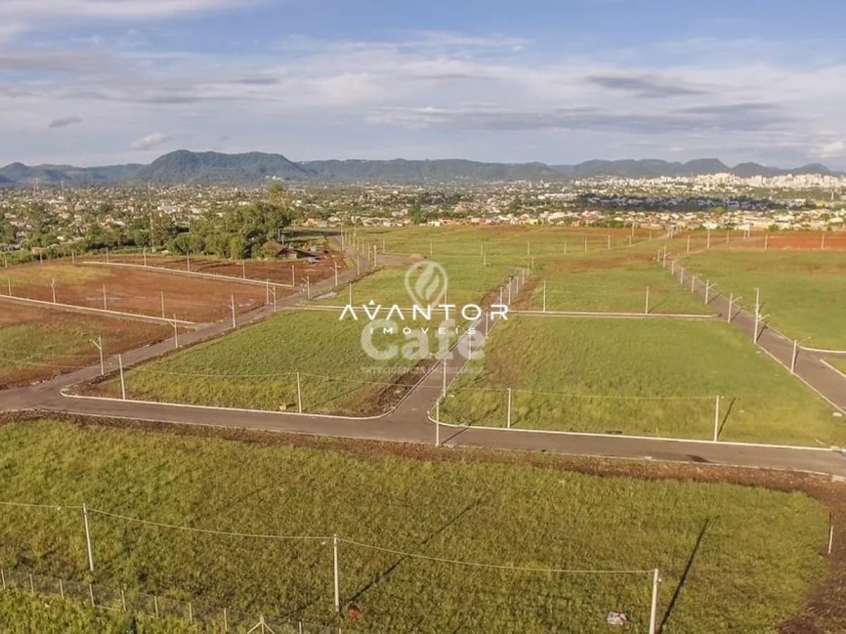 Terreno com plantação e vista da cidade — Terreno à venda no Residencial Alberto Schons, em Pinheiro Machado, Santa Maria/RS